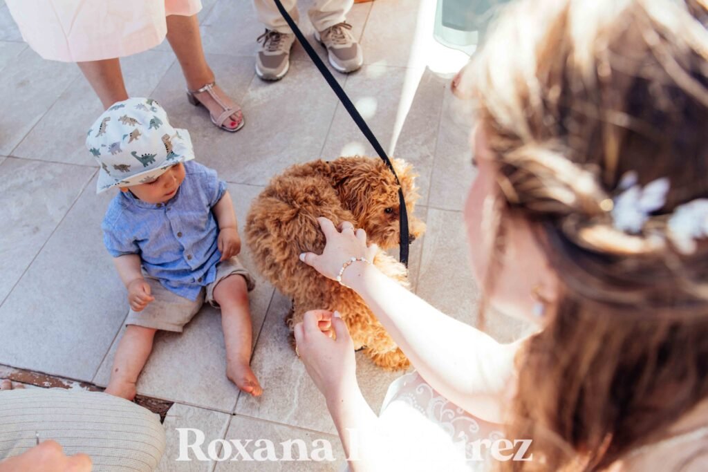 pets wedding day mallorca